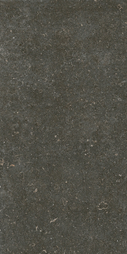 Керамогранит 785577 Rinascenza Arena Platino Matte 6mm 60x120 Casa Dolce Casa