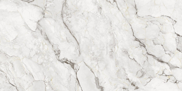 Керамогранит 80O134E Camouflage Natural 60x120 Grespania