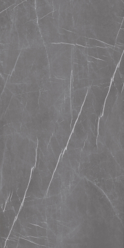 Керамогранит 817 Pietra Mat 60x120 Eurotile Ceramica