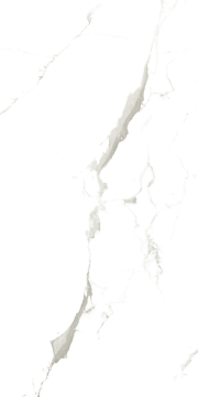 Керамогранит 902 Vena Fine Statuario 120x60 Artcer
