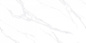 Керамогранит AB3116G Carrara Bianco 120x60 Absolut Gres