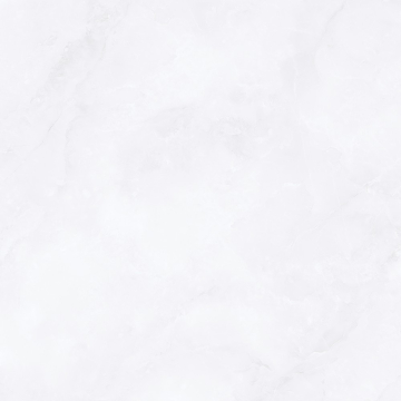 Керамогранит AC-P6107 Полированный 60x60 Wan Sheng