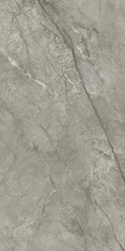 Керамогранит AJHV Marvel Meraviglia Silver Majestic Lapp. 60x120 Atlas Concorde