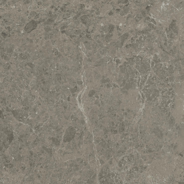 Керамогранит AJJD Marvel Meraviglia Grigio Elegante Matt 60x60 Atlas Concorde