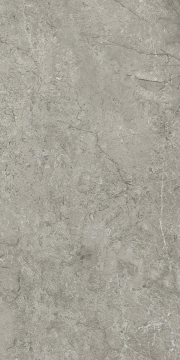 Керамогранит AJJM Marvel Meraviglia Silver Majestic Matt 30x60 Atlas Concorde