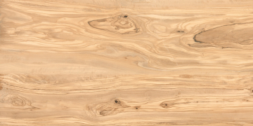 Керамогранит Alpine Natural Wood Matt 60x120 Casati Ceramica
