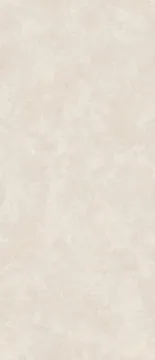 Керамогранит Alta Beach Xylotech Matt 2780х1200х6 StaroSlabs