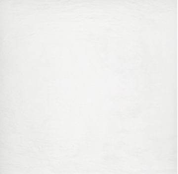Керамогранит Ardesia Bianco 59.4x59.4 Polcolorit