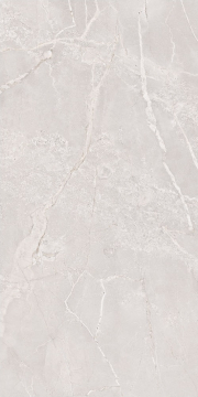 Керамогранит Ariana Coral Sugar Carving 60х120 Gresant