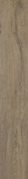 Керамогранит Aveiro Beige Rekt 19.8х119.8 Paradyz