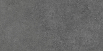 Керамогранит Base Essenza Grafite С-1 R9 60x120 Exagres