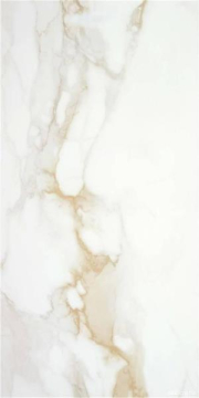 Керамогранит Camile gold Pul rect. 60x120 STN Ceramica