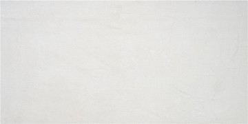 Керамогранит CAN5PHASCDAA Phase White MT Rect 59,5x120 STN Ceramica