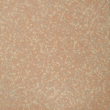 Керамогранит Caracas Levigato 8.5мм 40x40 Casalgrande Padana