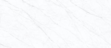 Керамогранит Carrara Twig White 120х278х6 Simpolo Ceramics