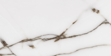 Керамогранит CV20195 Fancy Onix Grey Glossy 60x120 Neodom