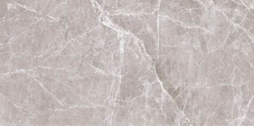 Керамогранит D1265885N Claros Grey light 60x120 Gani