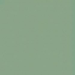 Керамогранит D28-1Ch Light Green Dot 2.9х2.9 Top Cer