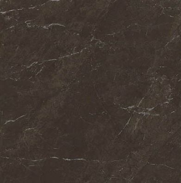 Керамогранит D607817BM Olive Brown 60x60 Gani