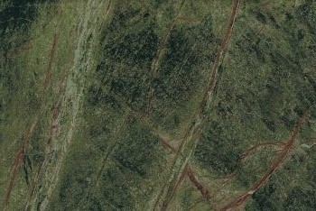 Керамогранит D698813BM Rainforest Green 60x90 Gani