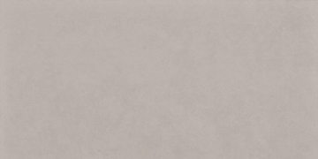 Керамогранит DAKSE654 grey 30x60 RAKO