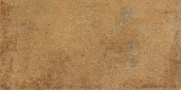 Керамогранит DARPT664 Siena brown R9 22,5x45 RAKO
