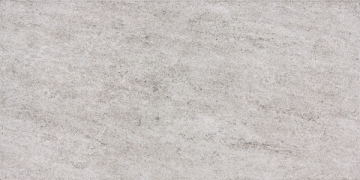 Керамогранит DARSE63 grey 30x60 RAKO