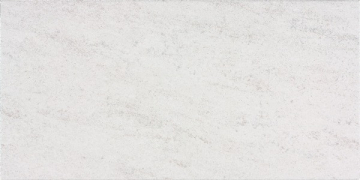 Керамогранит DARSE630 light grey 30x60 RAKO