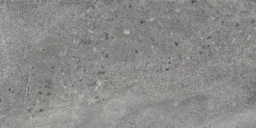 Керамогранит DD202000R Про Матрикс серый тёмный обрезной 30x60 Kerama Marazzi