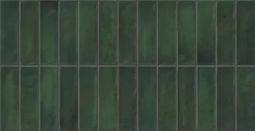 Керамогранит Deco Artis Plus Forest 32x62,5 Gayafores