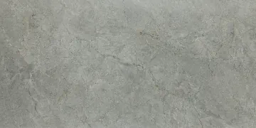 Керамогранит DJ12593 Серый Карвинг матовая 60x120 CSG
