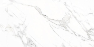 Керамогранит Doney-R Blanco Pulido 59.3x119.3 VIVES