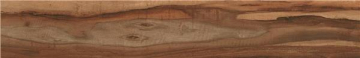 Керамогранит Dreamwood Viejo 23x120 STN Ceramica