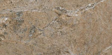 Керамогранит Dynasty Forest 20*40 Cerdomus