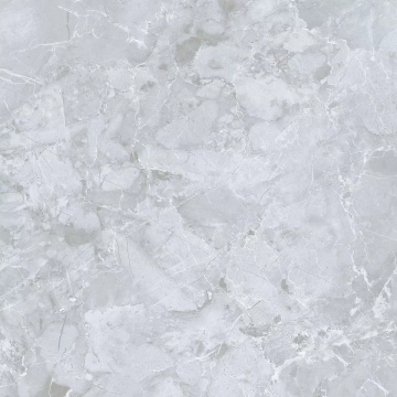 Керамогранит E-3019/MR Genio Серый ректификат 600x600x9 Dako