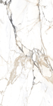 Керамогранит Eco Marble 6582 Polished 60x120 Alpas Euro