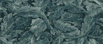 Керамогранит EHAR Acanto Verde Saint Denis Lapp Rett. 6.5mm 120x278 Emilceramica