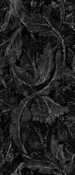 Керамогранит EHAS Acanto Calacatta Black Lapp Rett. 6.5mm 120x278 Emilceramica