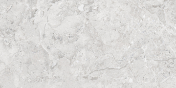 Керамогранит Elegance Grey Glossy Silver Line 60x120 Infinity Ceramica