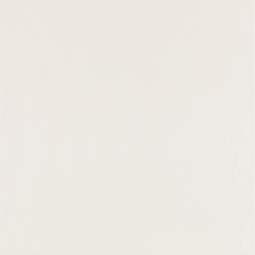 Керамогранит Elegant Surface Bianco Gres Rekt Mat 59.8x59.8 Paradyz