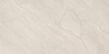 Керамогранит ENRJ Grigio Conchiglia Silktech Rett 60x120 Provenza