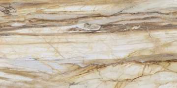 Керамогранит FBS00MQ041 LM FOSSIL ST R E 100X200 Roca Ceramica