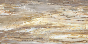Керамогранит FBS01MQ041 LM FOSSIL MC R E 100X200 Roca Ceramica
