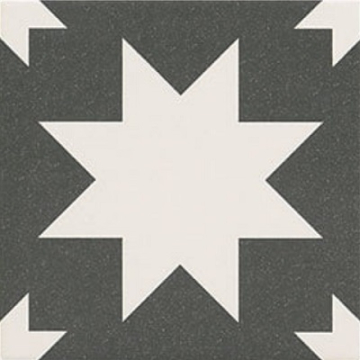 Керамогранит Fired Star Black Mate 20x20 Mainzu