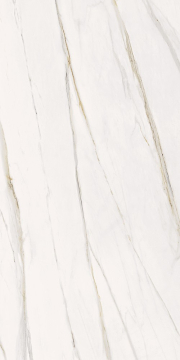 Керамогранит Florentino Silk Rett 60x120 Serenissima Cir