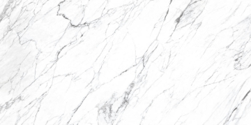 Керамогранит FPK00MQ011 LM STATUARIO MC 100X200 Roca Ceramica