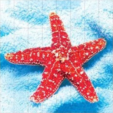 Керамогранит FS030 Fotosera F07 12,5х25 (100x100) Serapool