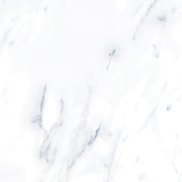 Керамогранит G283PR Payer Grey 60x60 Гранитея