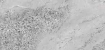 Керамогранит Gem Light Gray 80x160 Hafez