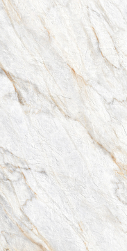 Керамогранит GI8008-B Lazio Pear Matt Glossy Ink Punch 60x120 Arcadia Ceramica